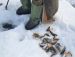 Рыболовная база отдыха «Fish Club» (Фиш Клуб)